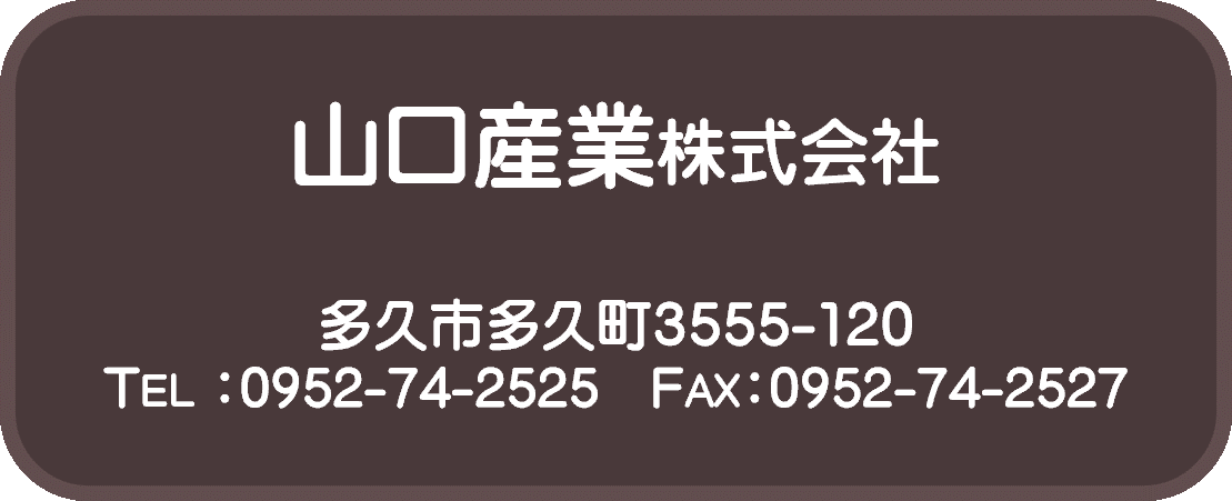 佐賀日中