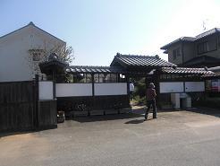 Image1